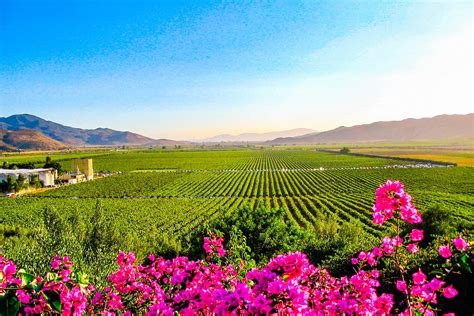 Where to Visit Wine Country in California