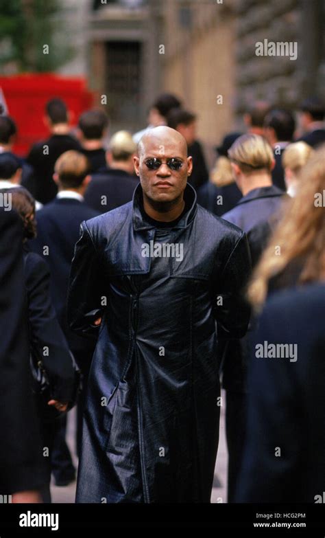 THE MATRIX, Laurence Fishburne, 1999. (c) Warner Bros./ Courtesy: Everett Collection Stock Photo ...