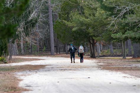 Pine Barrens | NJ Scenic Byways