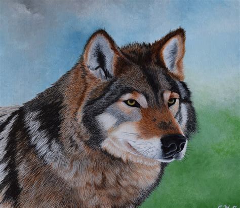 Wildlife Painting: the Timber Wolf Original Painting - Etsy