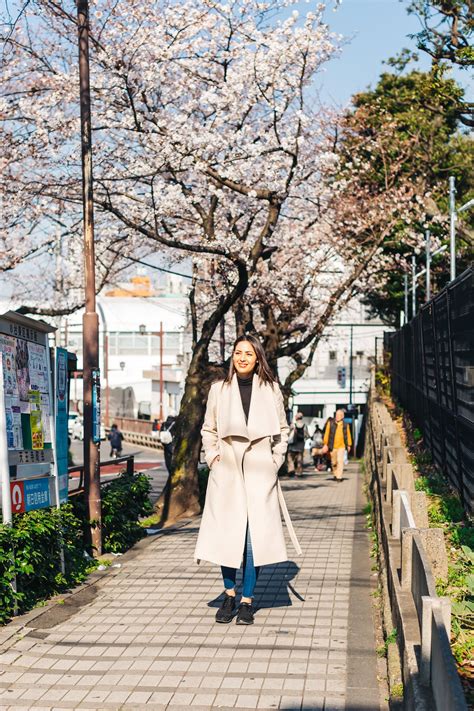 What to Wear in Japan During Spring's Cherry Blossom Season | Spring outfits japan, Japan outfit ...