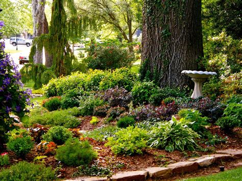 Landscaping Under Trees: Tips And Tricks For A Beautiful Garden – Artourney