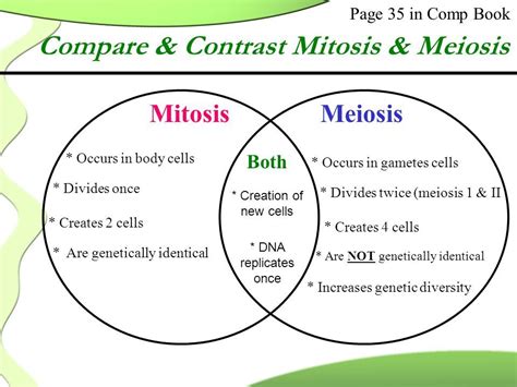 Image result for mitosis and meiosis | Mitosis, Meiosis, Mitosis meiosis