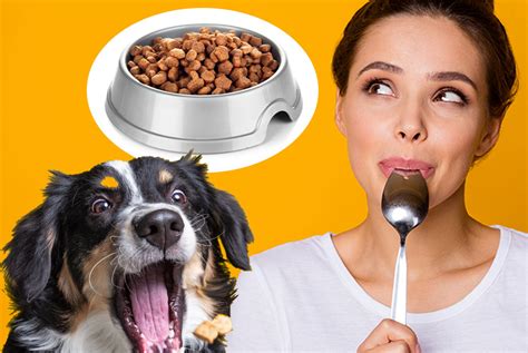 Could you work as a pet food taster? It's a real job! - Power FM Bega Bay