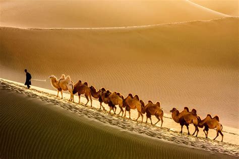 Along the Silk Road: Hidden Mysteries of the Taklamakan Desert - Youlin Magazine