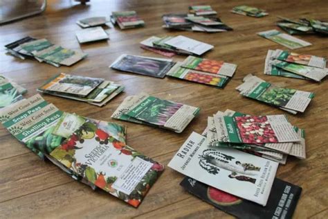 Great Seed Companies to Buy Vegetable & Herb Seeds | Family Food Garden