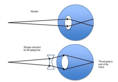 Processing and Integrating Visual Signals - MCAT Social and Behavioral Sciences