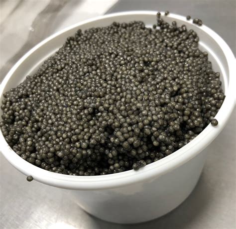 Caviar Fish Eggs