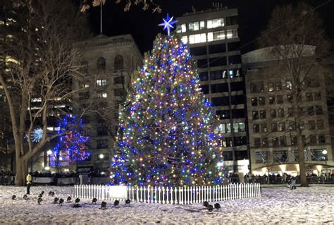 Don't Miss The Boston Common Christmas Tree Lighting This Thursday