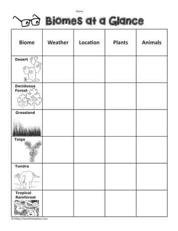 Biome Graphic Organizer Worksheets