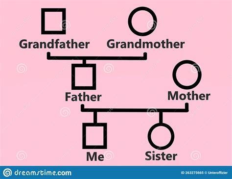 Genogram. Family Tree Chart. Simple Diagram Showing Family Members. Genealogy Tree Structure ...