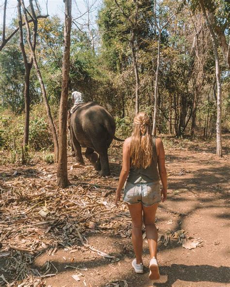 Cambodia diary 12: Elephants, waterfalls, jungle | My TravelCation