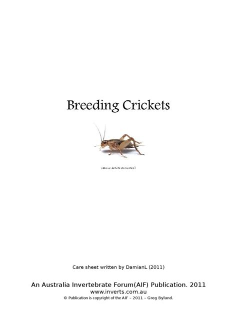 Breeding Crickets by Australia Invertebrate Forum - Issuu