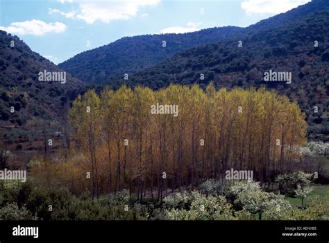 Sierra de Alcaraz, Berglandschaft Stock Photo - Alamy