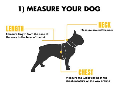 Size Guide – Paws Circle