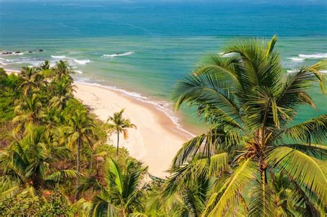 Premium Photo | Goa beach aerial view india