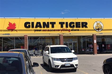 Giant Tiger: Should You Be Shopping Here?