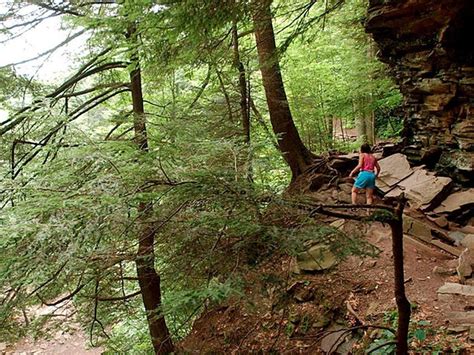 Five places you should camp this summer in Pennsylvania | Camping in pennsylvania, State parks ...