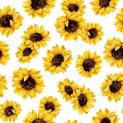 Sunflower pattern 755549274966610271 | Sunflower illustration ...