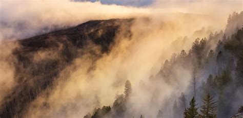 Exploring The Different Types of Fog: A Comprehensive Guide - Wild Fog