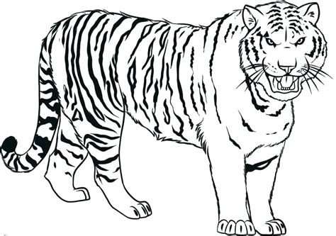 Cute Baby Tiger Coloring Pages at GetColorings.com | Free printable ...