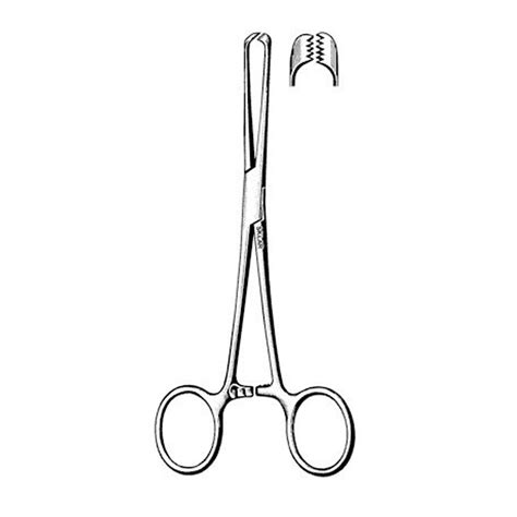 Gdc Allis Forceps | CLINICAL INSTRUMENT | Dentcruise