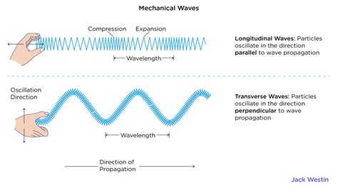 Transverse And Longitudinal Waves Wavelength And Propagation Speed - Periodic Motion - MCAT Content