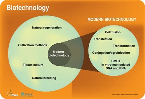 Biotechnology and modern biotechnology defined | GRID-Arendal