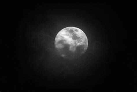 Night Moon GIF - Find & Share on GIPHY