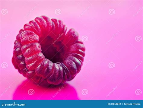 One raspberry on pink stock photo. Image of pink, food - 37662042