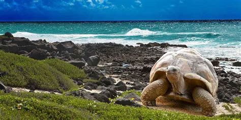 Galápagos National Park, Ecuador - Travel Guide - PlanetAndes