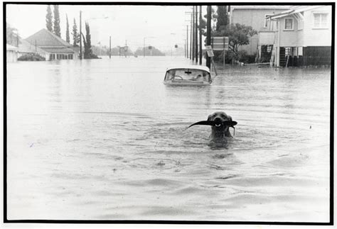 Brisbane 1974 floods | The Chronicle