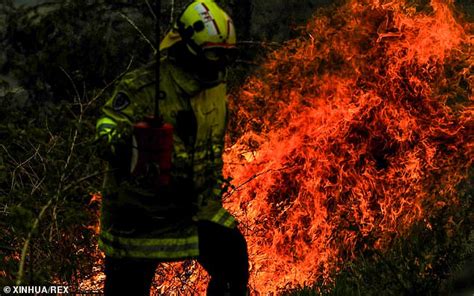 NSW bushfires: Tell tale signs on how to spot an arsonist | Daily Mail Online