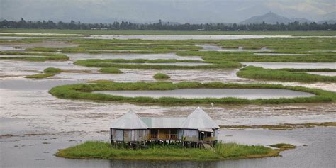 Loktak Lake | Sendra Island, Map, Image, Tourism, Location, Video, Phumids