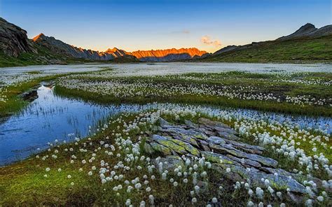 HD wallpaper: Freshwater Marsh Swissalps Fluffygrass In Kanton Tessin Landscape Wallpaper 4k ...