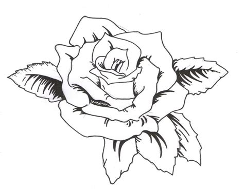 Cool Rose Tattoo Drawings