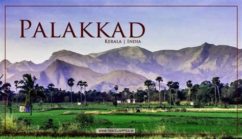 5 Places to Visit in Palakkad, Kerala on One Day Trip | Travel Hippies