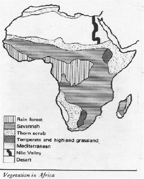 African Vegetation Map