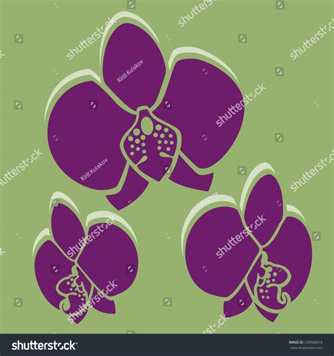 Venezuela Orchid Images: Browse 333 Stock Photos & Vectors Free Download with Trial | Shutterstock