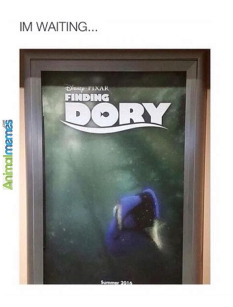 Funny memes – Finding Dory.. I’m waiting | Funny disney pictures, Finding dory, Disney blog