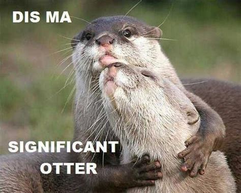 Otter Puns – Punpedia