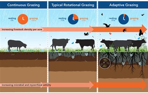 Pasture Project : Grazing Diagrams