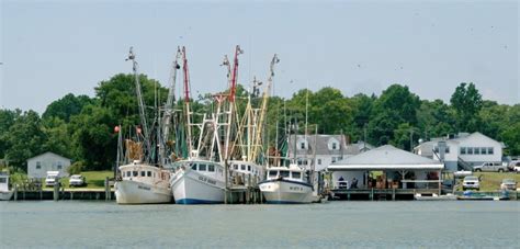 Sneads Ferry Real Estate - Coastal Carolina Homes