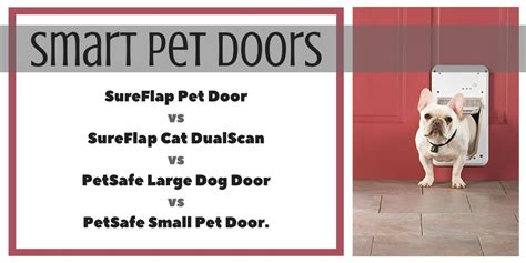 Smart Pet Door for Dogs and Cats Using Microchip or RFID Tags