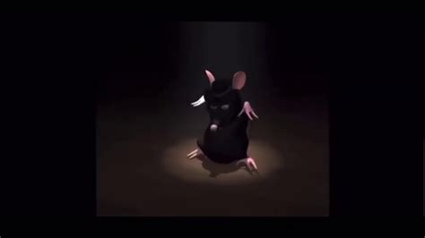 Dancing rat meme - YouTube