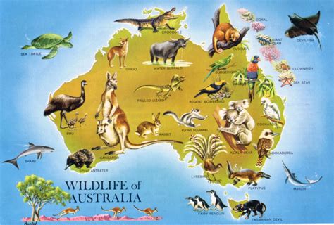 Australia deadly animals map | Gary Poste