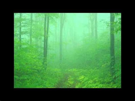 Forest Sound - The Relaxing Sound Of Autumn - YouTube