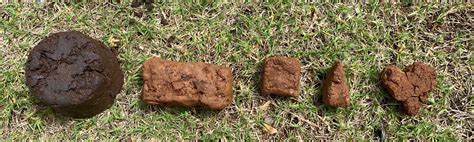 STEM Activity- Mud Brick Building — Learning withOutdoors