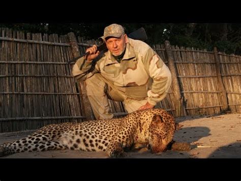 Leopard Hunting in Africa - YouTube