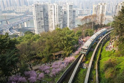 Chongqing's metro line in early spring - Xinhua | English.news.cn